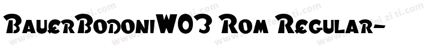 BauerBodoniW03 Rom Regular字体转换